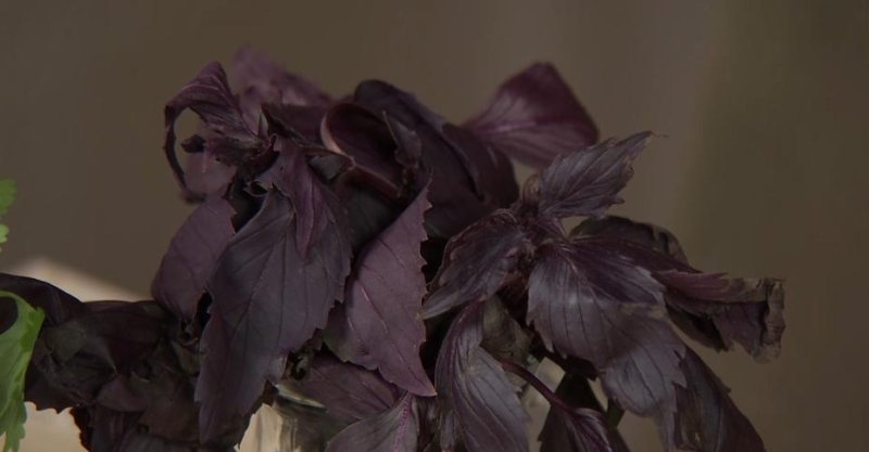 Салат в грузинском стиле