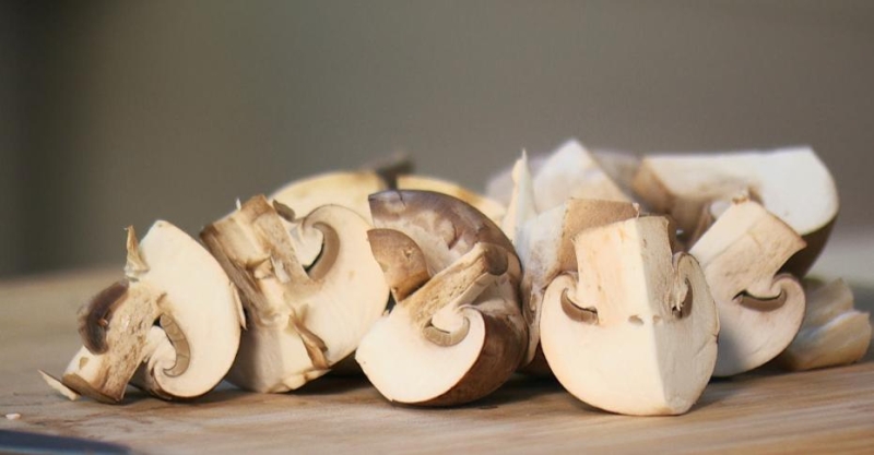 Салат из пасты с шампиньонами