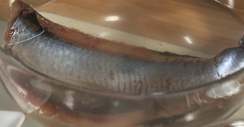 Селёдка с заливкой из хрена