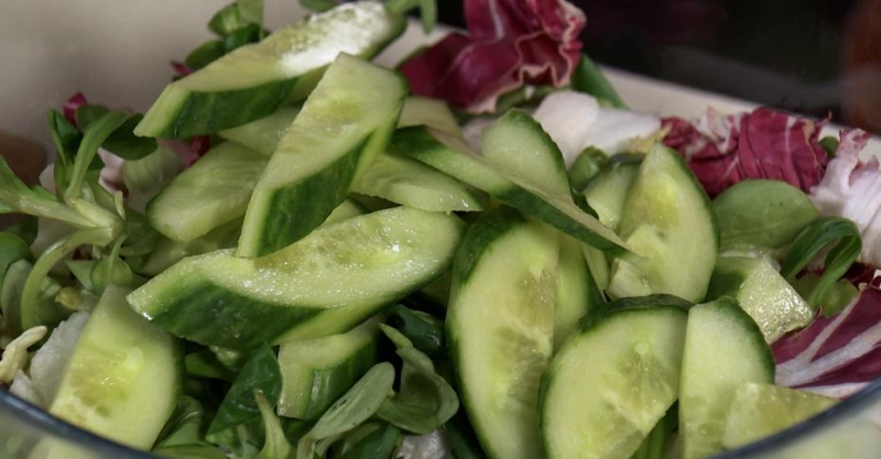 Халуми-гриль с овощным салатом