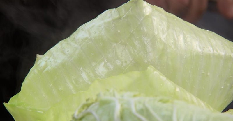 Голубцы с колбасками в итальянском стиле