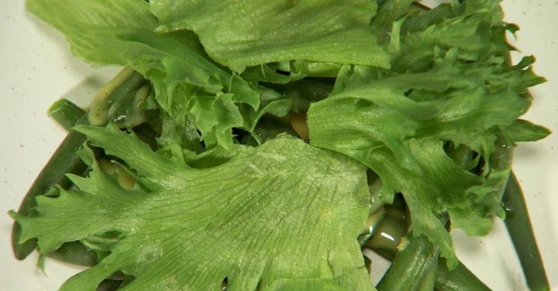 Нисуаз для Андрея Носкова