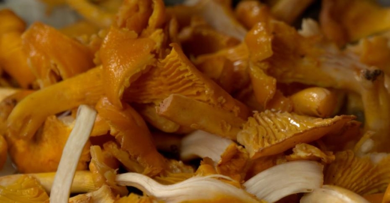 Клёцки с жареными лисичками