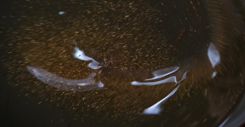 Корейская закуска хе