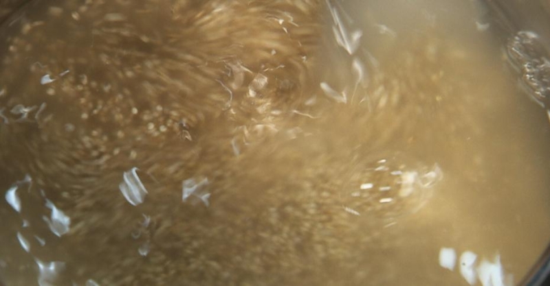 ПП-Фаршированные перцы